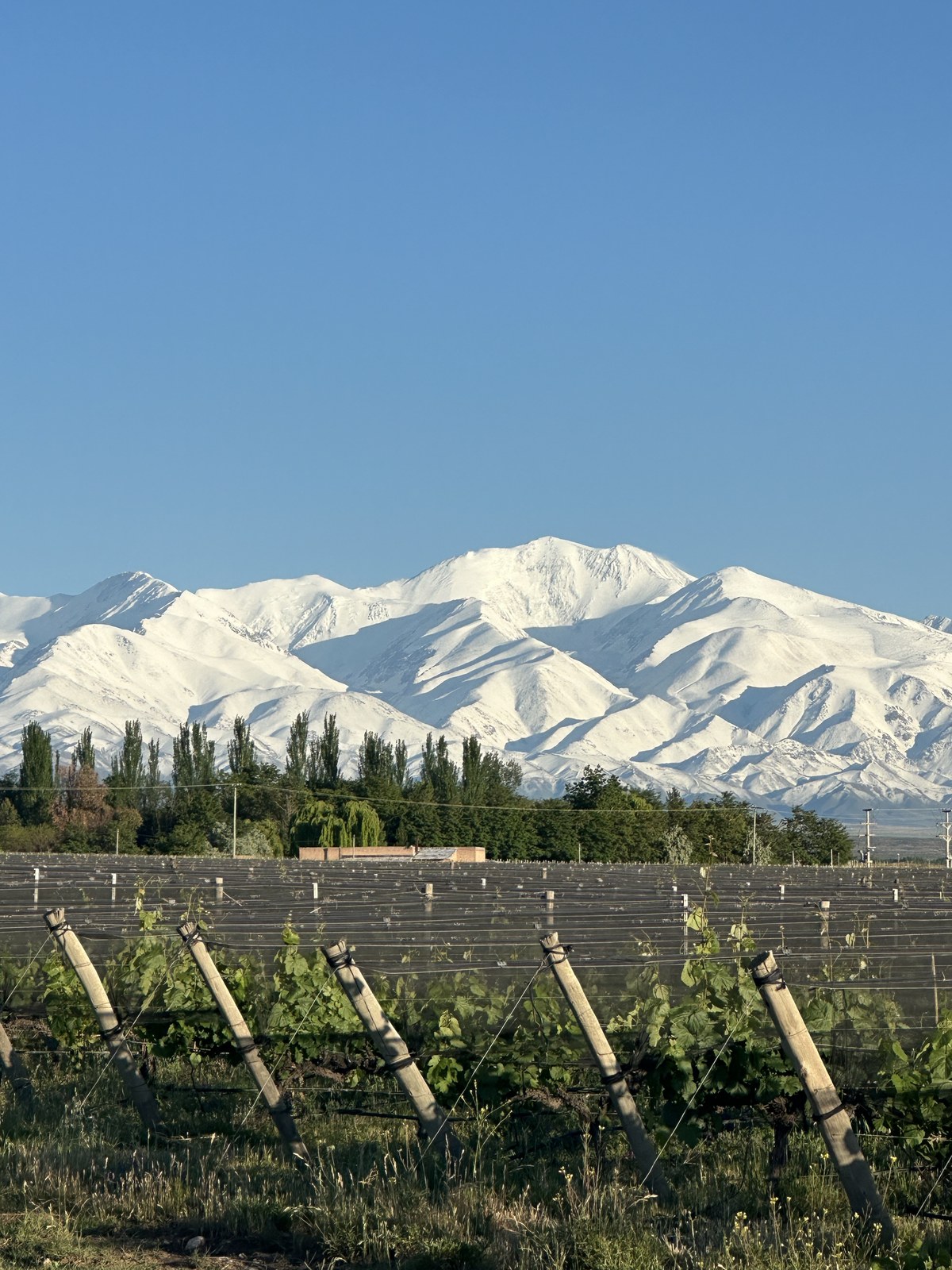 Mendoza montañas Cordillera