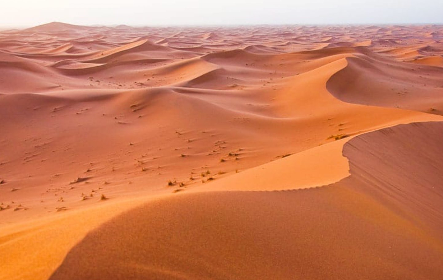 Marruecos desierto